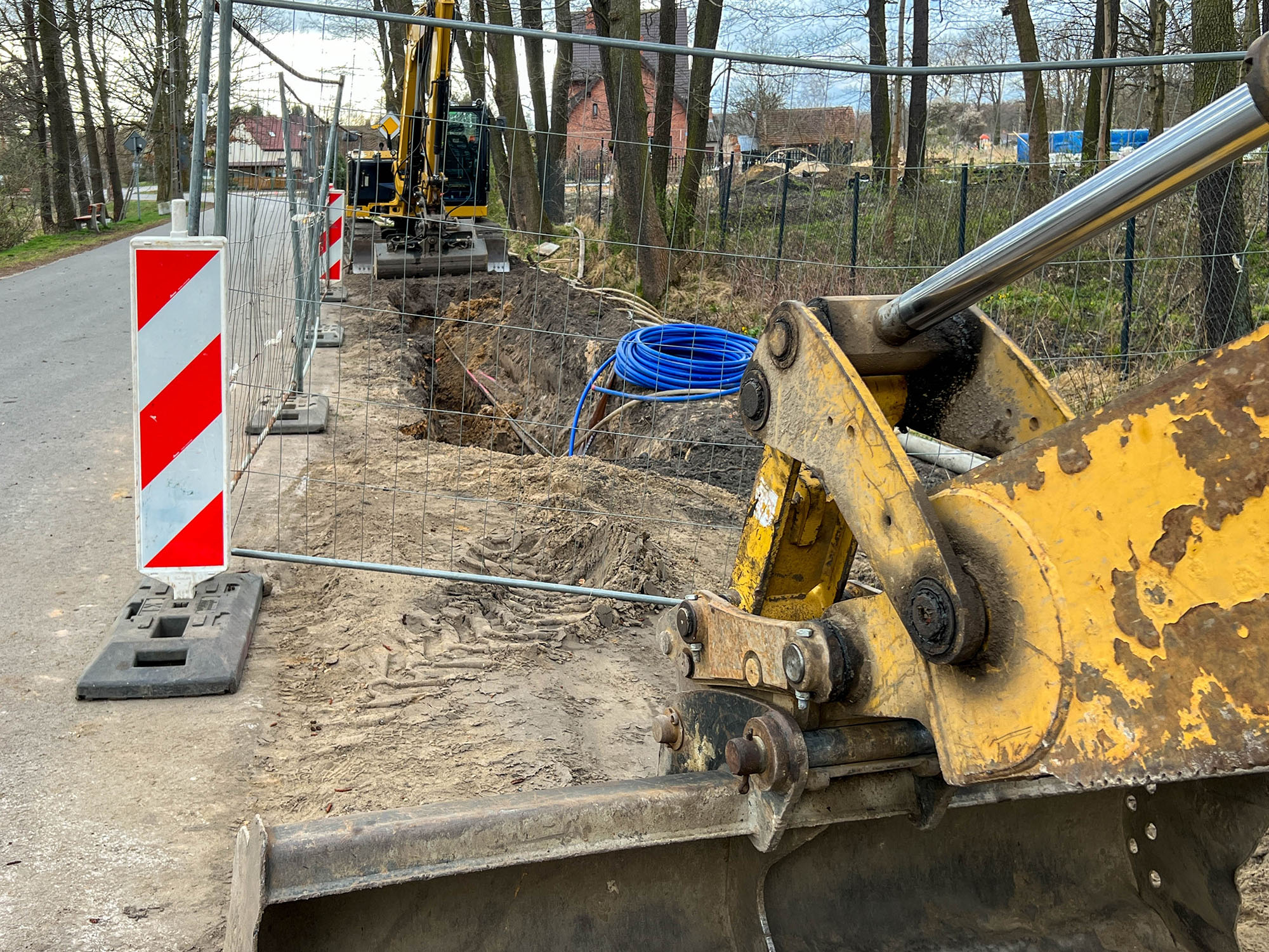 How Tree Roots Cause Sewer Line Damage and How We Fix It